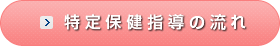 特定保健指導の流れ