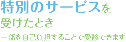 特別のサービスを受けたとき 一部を自己負担することで受信できます